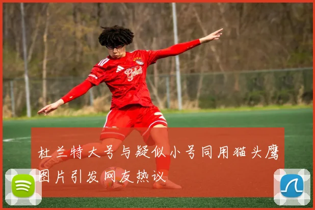 杜兰特大号与疑似小号同用猫头鹰图片引发网友热议